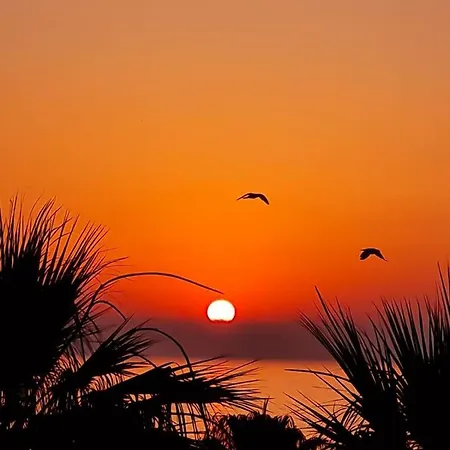 Ithaki Phinikoudes No. 202 *