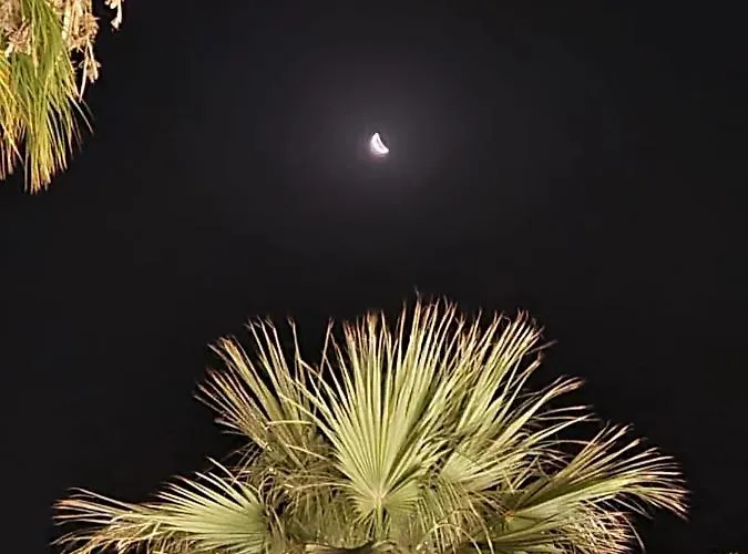 Ithaki Phinikoudes No. 202 לרנקה